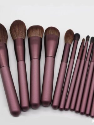 12 small grape beginner makeup brush sets