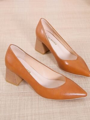 Pointed toe shoes with thick heels